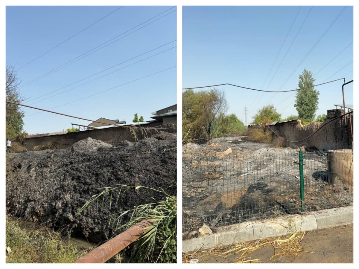 Fire on a high-voltage power grid causes temporary power outages in Tashkent