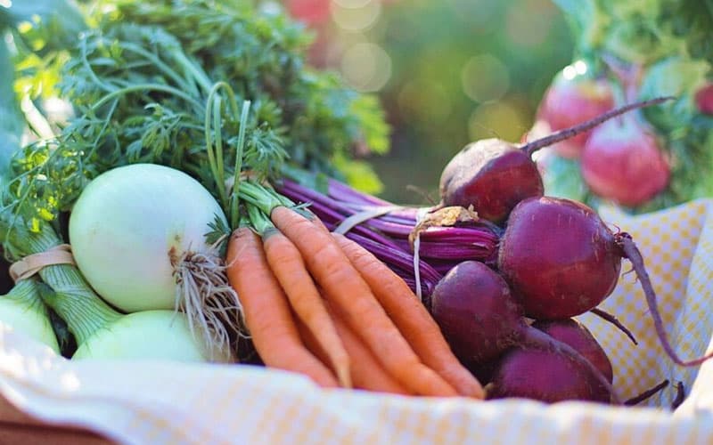 Стал известен продукт-лидер в экспорте овощей и фруктов из Узбекистана