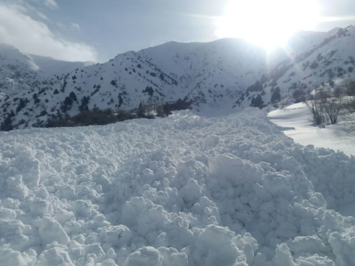 O‘zbekistonning ayrim hududlarida qor ko‘chish xavfi e’lon qilindi 