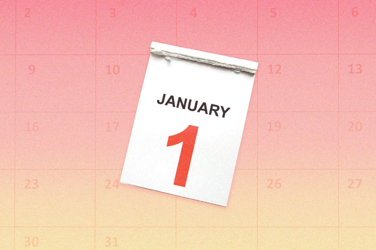 Electronic bracelets for offenders, pay raises for cultural workers, and wildlife protection: Key changes from January 1