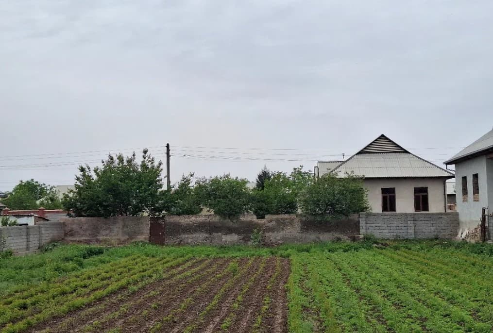 Агентство по карантину и защите растений организует производство сельхозпродукции на приусадебных участках