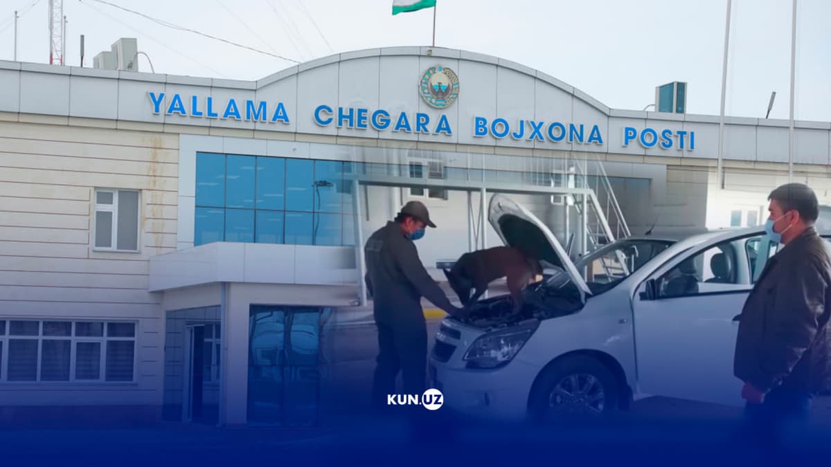 Bedarvoza bojxona va g‘oyib bo‘layotgan mashinalar – Kun.uz’da katta surishtiruv