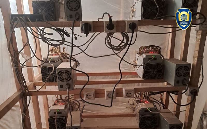 Toshkent viloyatida mayning ferma tashkil etgan xonadonlar aniqlandi