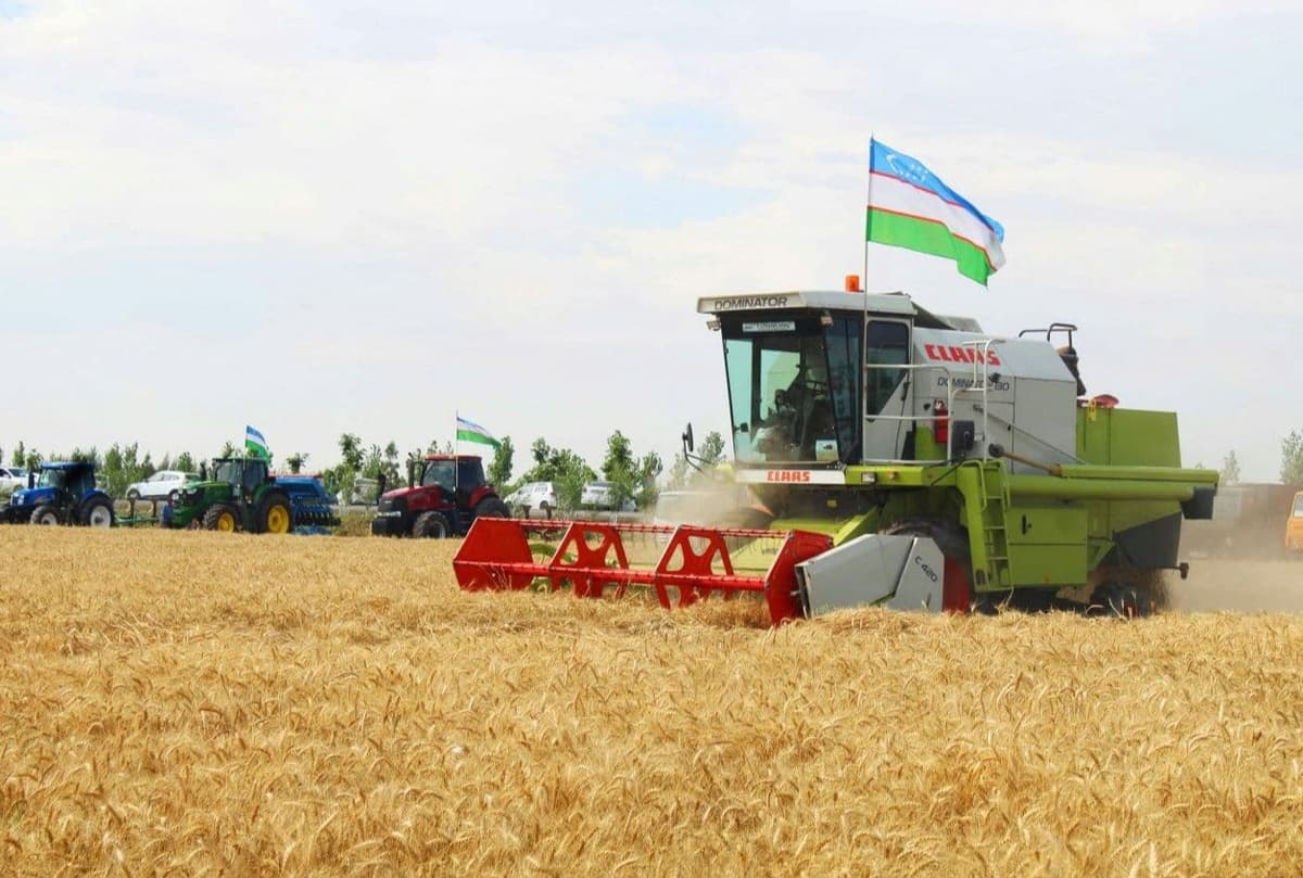 «O‘zagroinspeksiya» hukumat bo‘ysunuviga o‘tkazildi