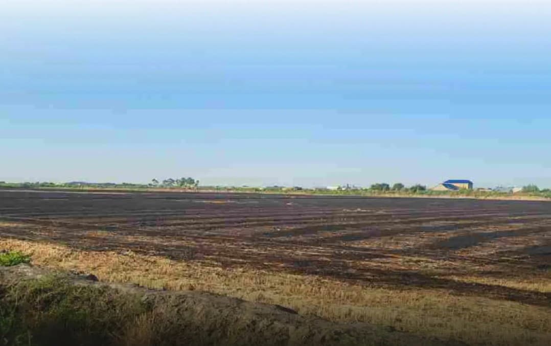Air pollution offenses in Uzbekistan lead to 332 million UZS in fines for 1,356 citizens