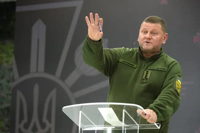 «Men bunday almashtirish haqida o‘ylayapman». Zelenskiy - Zalujniyning iste’fosi ehtimoli haqida