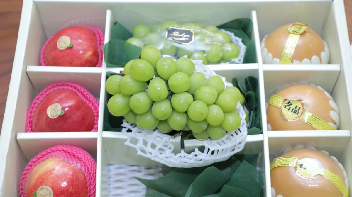 Uzbekistan partners with Korean firm to grow new grape varieties