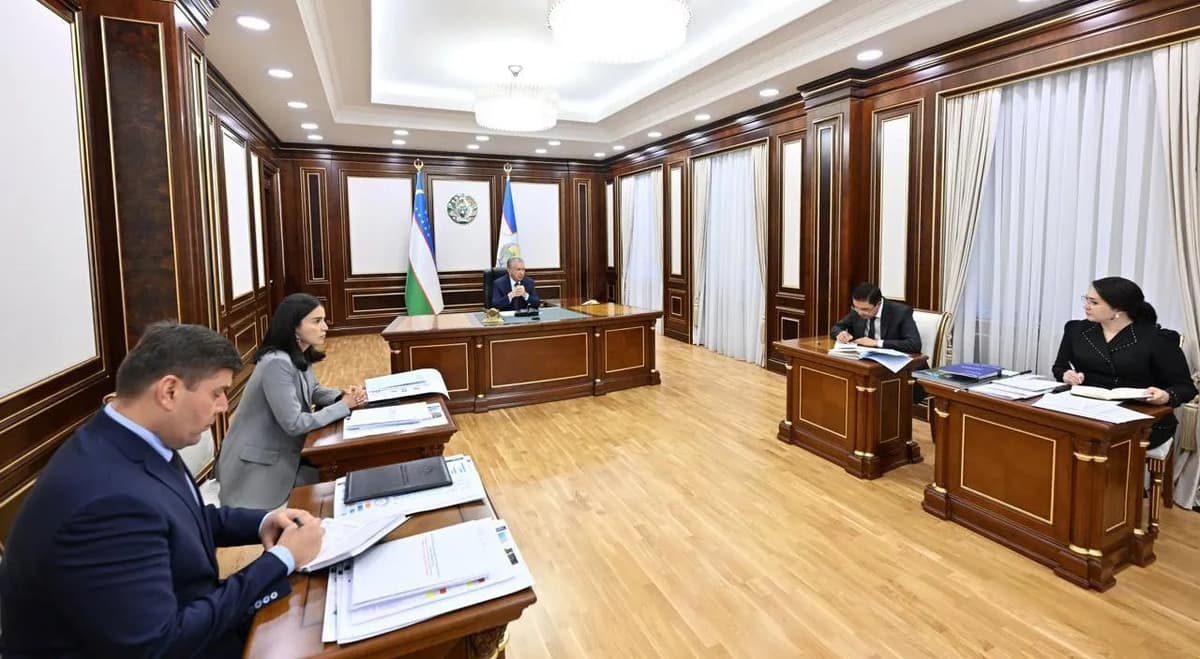 Shavkat Mirziyoyev gets acquainted with proposals for developing preschool education and improving system of work with gifted youth