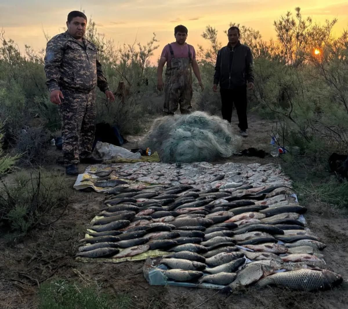 Individuals imposed fines worth 957 million UZS for illegal hunting in six months
