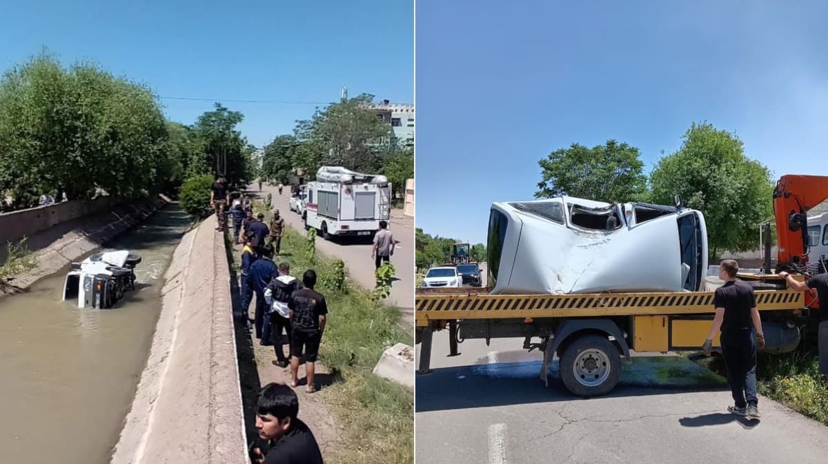 Damas falls into a canal in Tashkent region