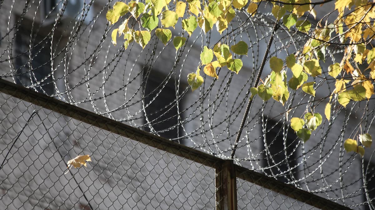 РФда кардиожарроҳ ФБКга донат юборгани учун тўрт йилга қамалди