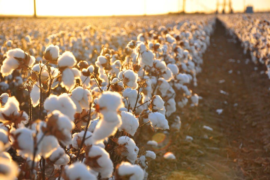 Work to increase soil productivity to be subsidized