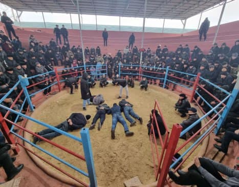 В Фергане задержаны лица, организовавшие петушиные бои