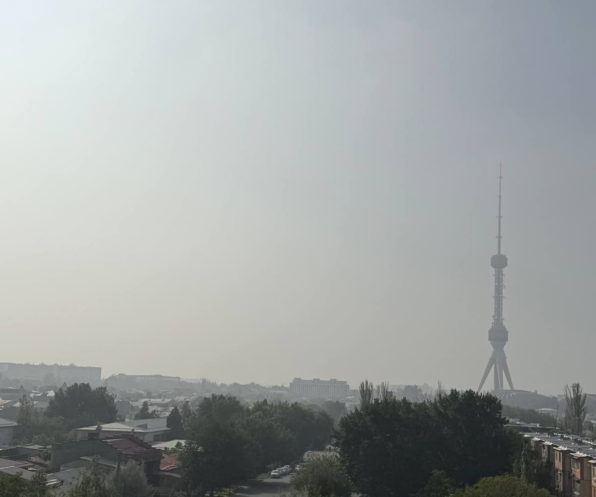 Tashkent ranked 4th globally in terms of air pollution