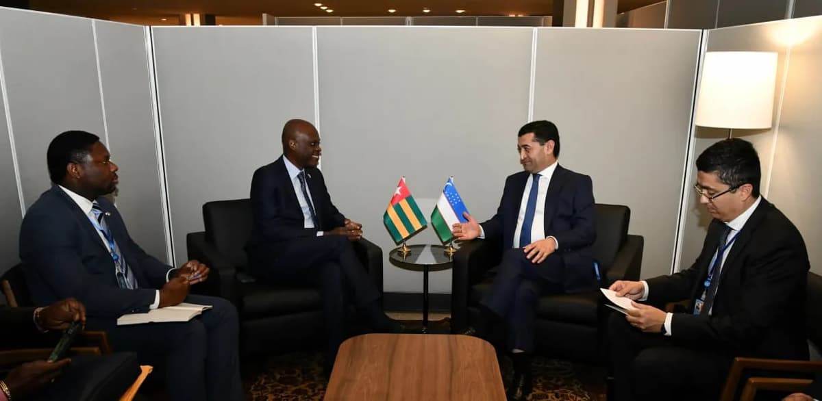 Uzbekistan establishes diplomatic relations with Togo, expanding ties in Africa