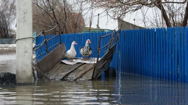 «80 йилликдаги энг йирик офат». Қозоғистонда ҳам тошқинлар минглаб уйларни сув остида қолдирмоқда