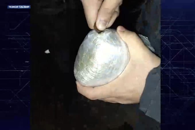 State Security Service seizes over 6 kg of smuggled narcotic substances