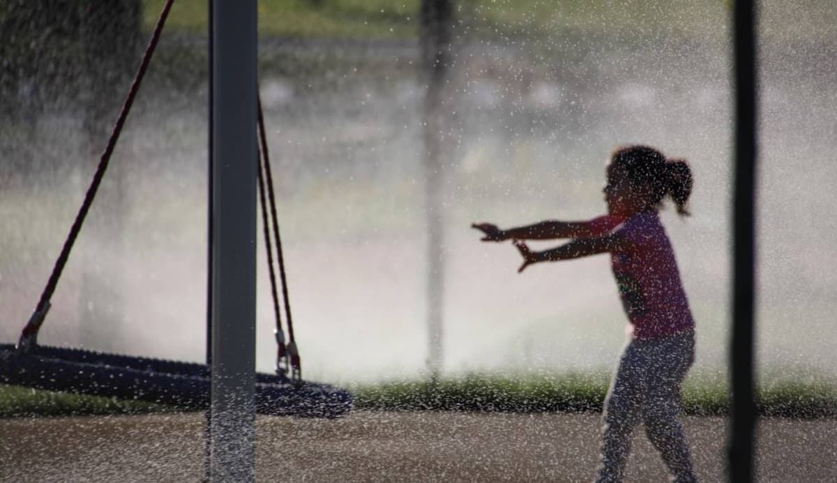 Law defining procedure for issuing a protection order to children affected by violence approved 