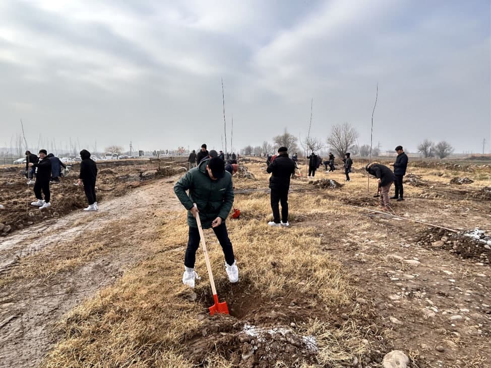 "O‘zbekinvest" kompaniyasi tomonidan "Yashil makon" umummilliy dasturi doirasida Qibray tumanida bog‘ yaratildi