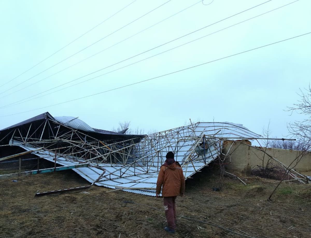 Strong winds leave over 130,000 people without electricity in Samarkand and Jizzakh