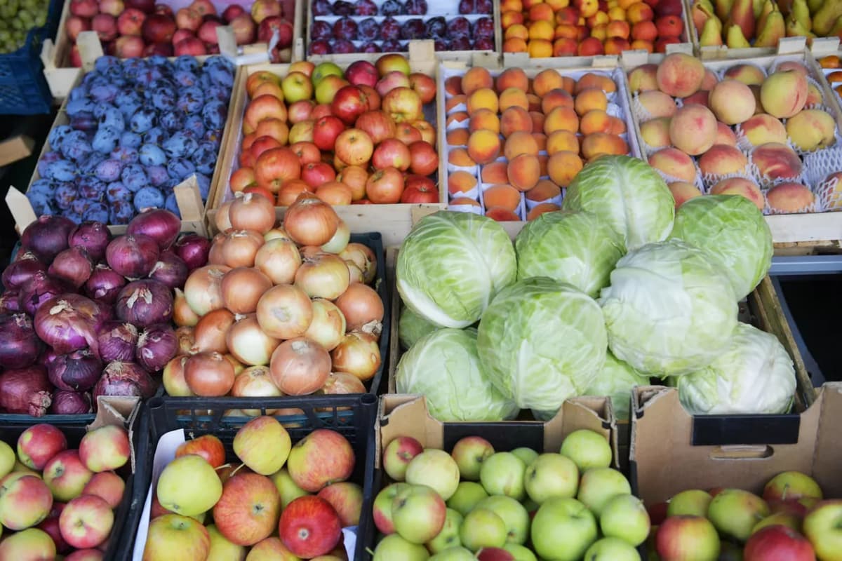 Uzbekistan’s agricultural exports surged by 21% in Jan-Aug 2024
