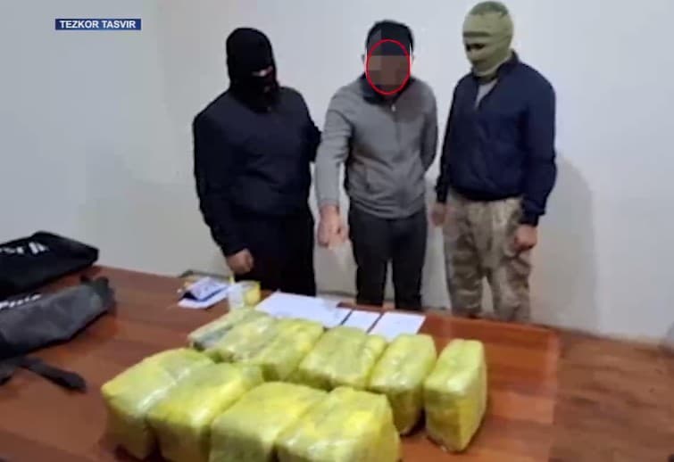 Изъято около 65 кг гашиша, контрабандно ввезенного в Узбекистан