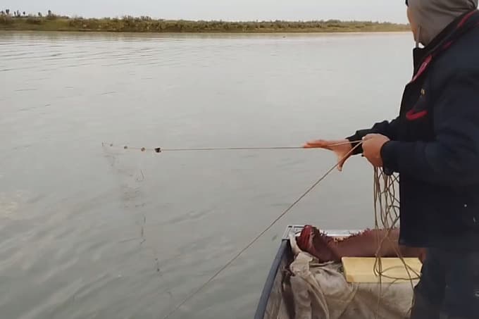 Poachers attack two environmental inspectors on Syrdarya River
