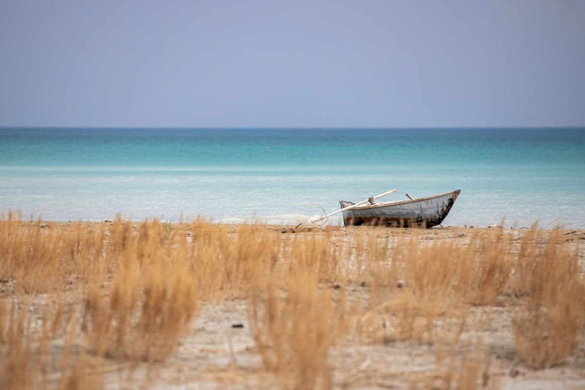 Lake Sarykamysh's area shrinks by 4% in six years: Environmental impact on Turkmenistan and Uzbekistan