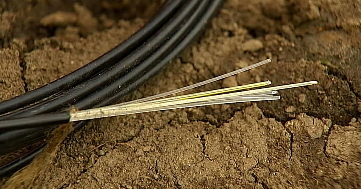Finlandiyada Shvetsiyadan tortilgan internet-kabelda uzilish sodir bo‘ldi. Holat bo‘yicha tergov boshlandi