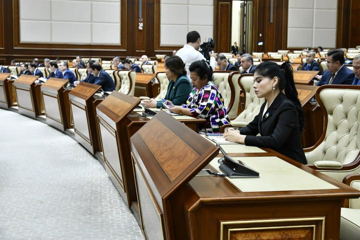 Senate approves laws on combating information fraud and regulating psychological assistance