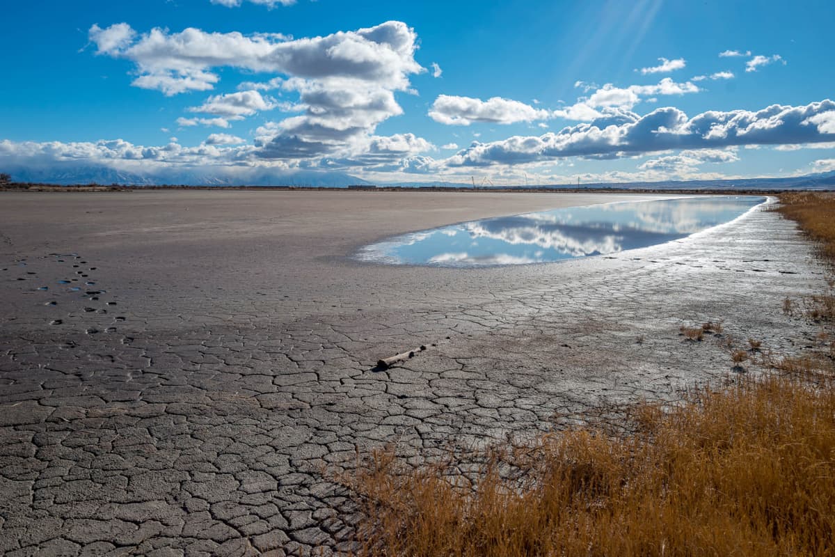 Water management lessons Uzbekistan can learn from Las Vegas – Tackling water shortages