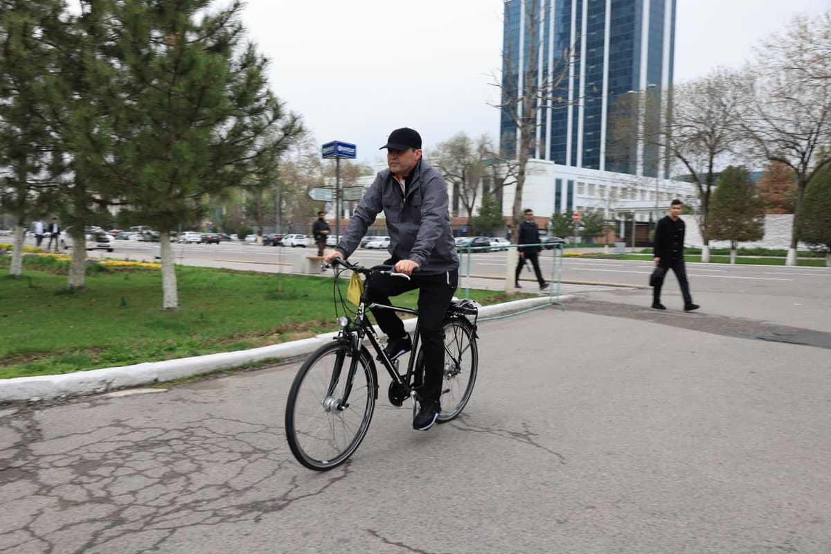В Узбекистане акция «День без автомобиля» будет проводиться в последнюю среду каждого месяца