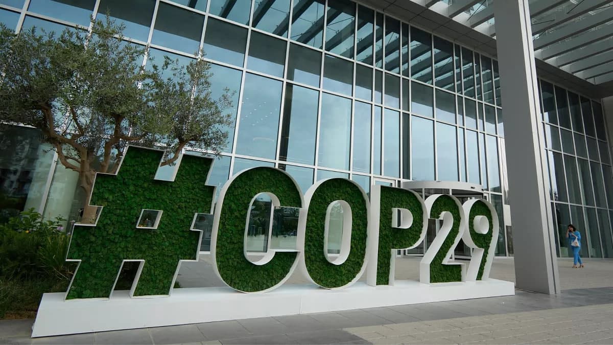COP29'да CO2'га сертификатларни сотиш қоидалари келишиб олинди