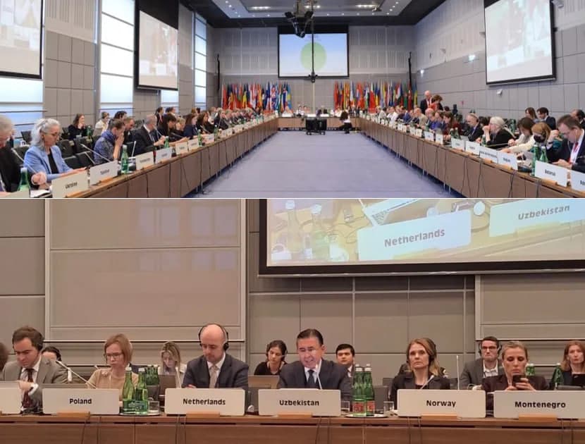 OSCE discusses outcomes of Uzbekistan's parliamentary elections