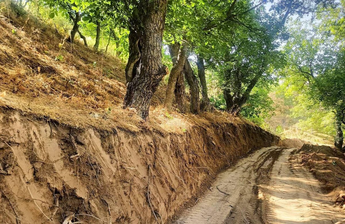 «Omonqo‘ton» milliy bog‘ida noqonuniy xatti-harakatlar bilan tabiatga zarar yetkazildi