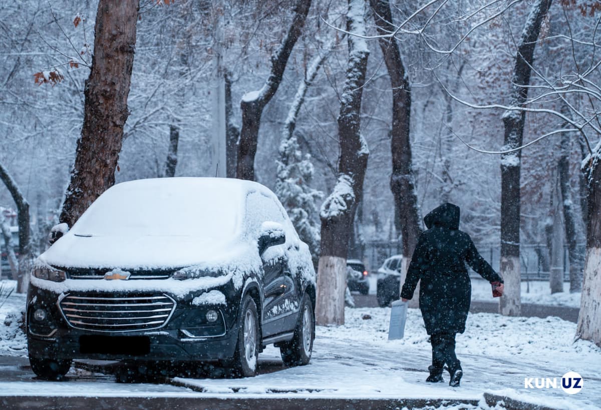 Tashkent covered in snow (photos)