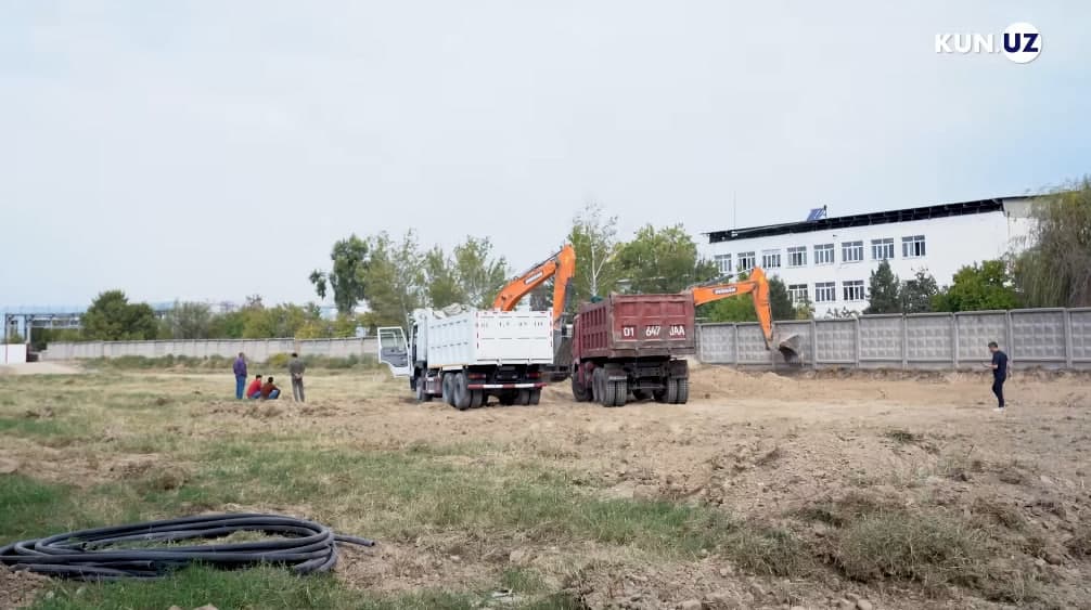 Toshkentda 800 tup daraxt nobud qilingani yuzasidan tergovga qadar tekshiruv tayinlandi – Bosh prokuratura