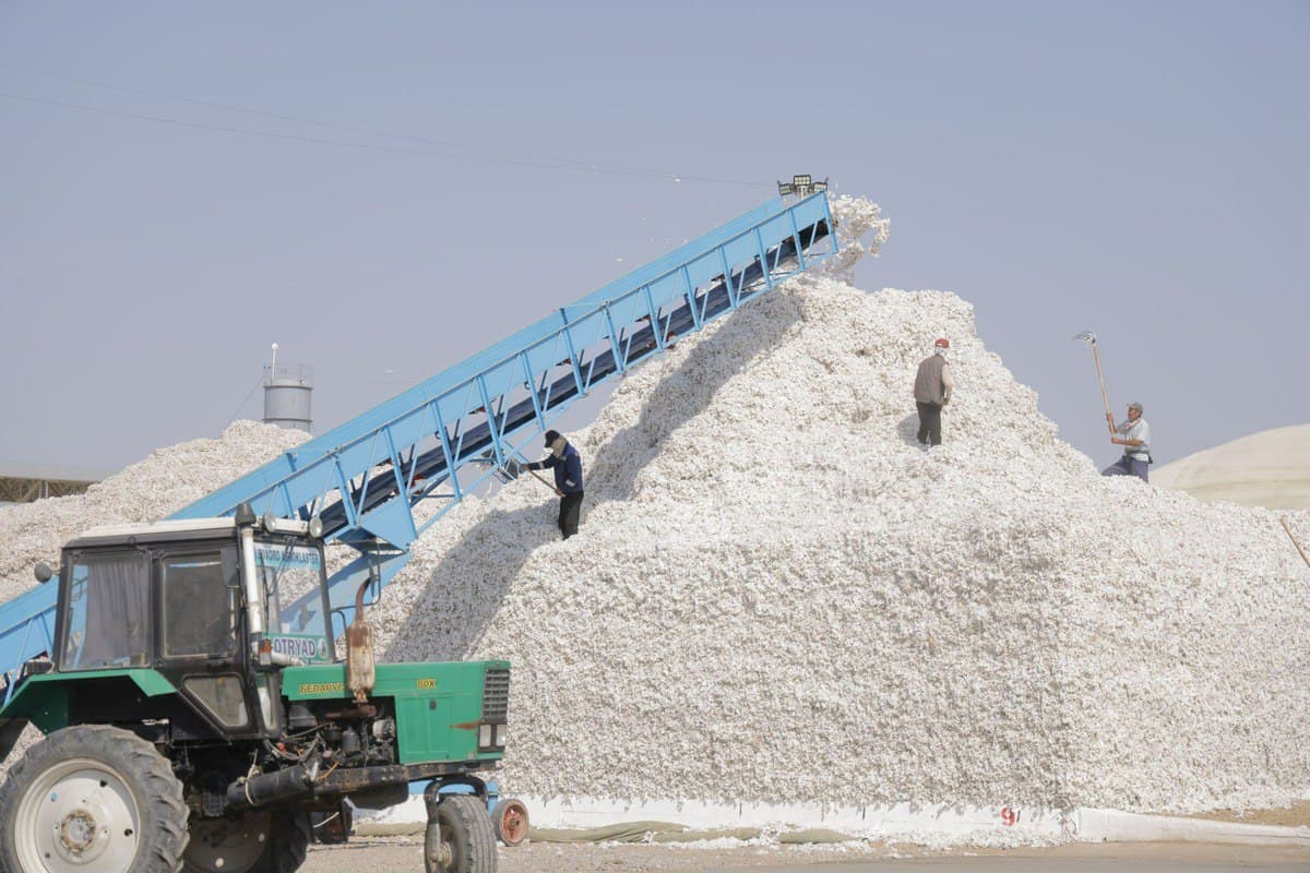 Two more cotton clusters in Uzbekistan investigated for price manipulation