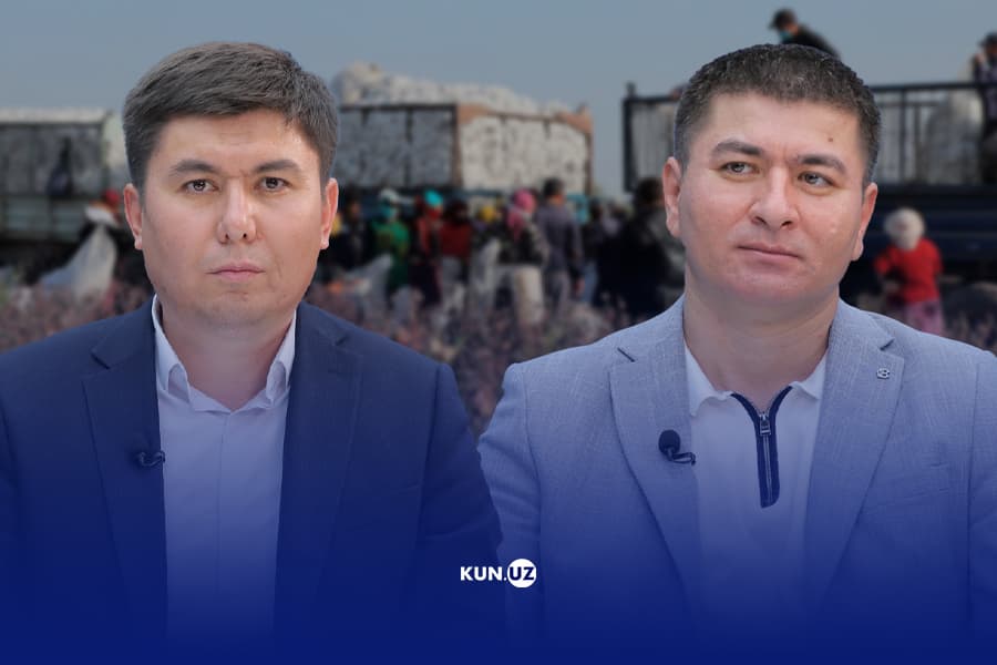 «Некоторым фермерам угрожают тюрьмой». Эксперты – о снижении цен на хлопок