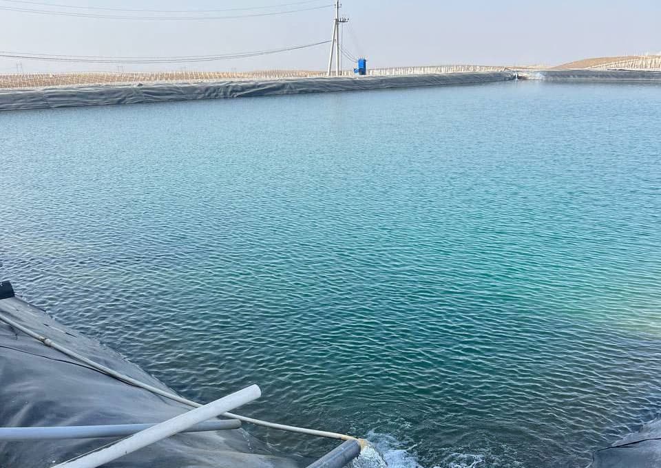 Three people drowned in Fergana region