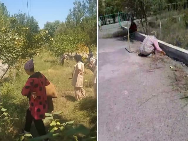 В Намангане оштрафовали директора школы за принудительный труд учителей