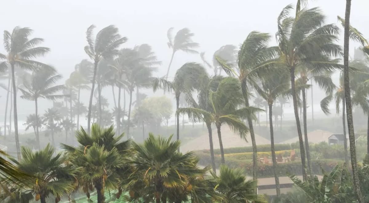 No Uzbek citizens affected by typhoon in Thailand