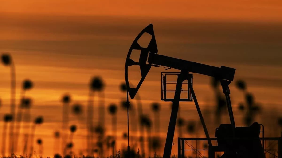 Yevropaning 9 ta neft-gaz kompaniyasining 1 yillik tashlamalari 360 ming kishining o‘limiga sabab bo‘ladi – tadqiqot