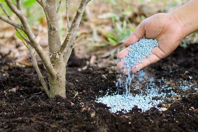 Russian KhimAgro planning to offer its fertilizers to the Uzbek market 