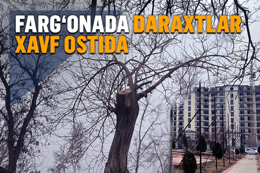 Фарғонада 200 тупдан ортиқ дарахти бўлган ҳудуд қурилиш фирмаси томонидан ўраб олинди