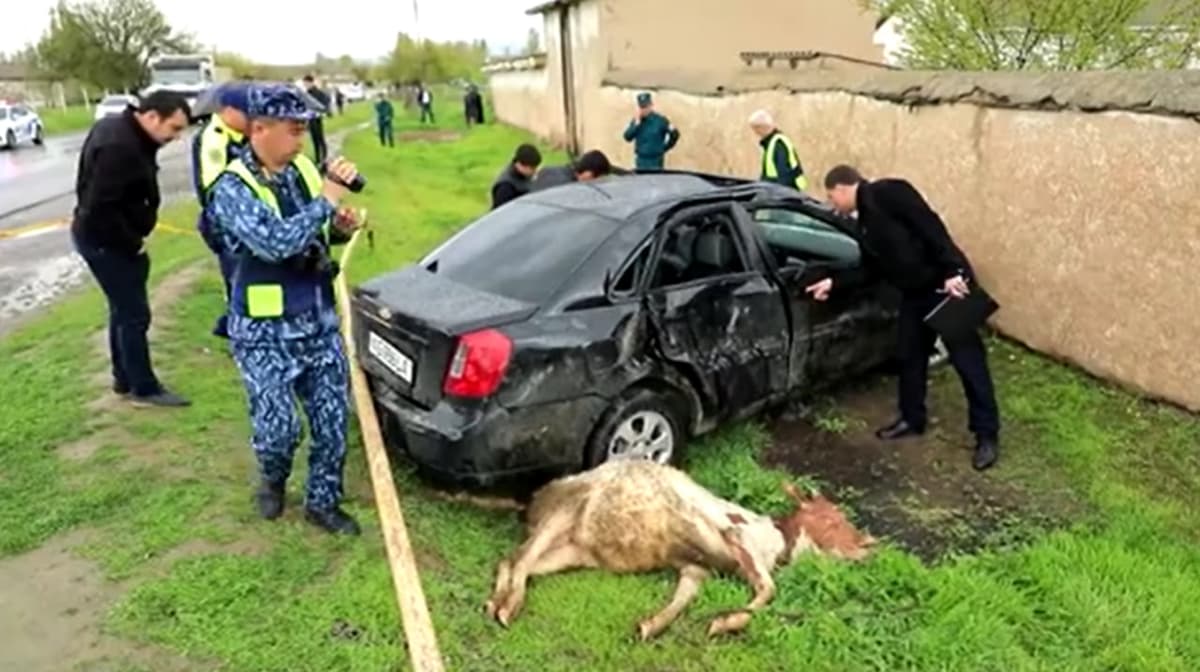 Gentra driver hits two schoolchildren to death in Jizzakh