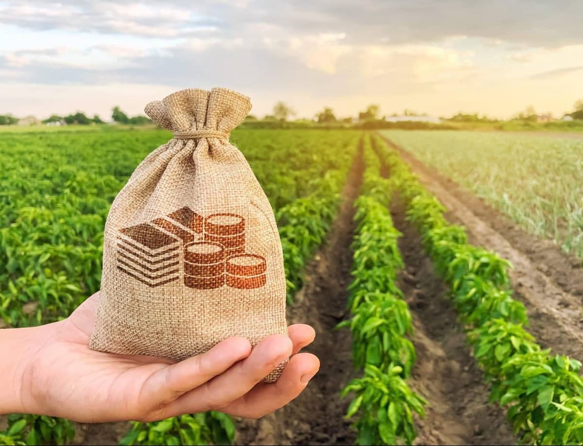 Businesses to receive subsidies for expenses for participation in exhibitions and fairs in accordance with the category in the Sustainability Rating of Business Entities