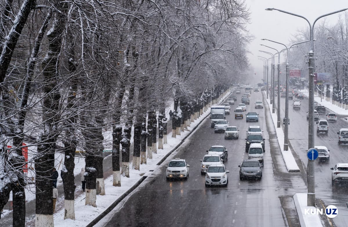 В Узбекистане количество автомобилей, принадлежащих физическим лицам, превысило 4 миллиона