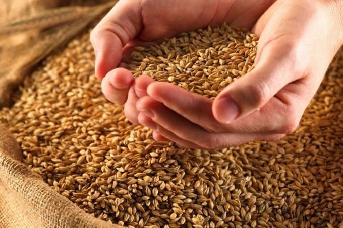 Uzbekistan increased imports of Kazakh grain by 40%