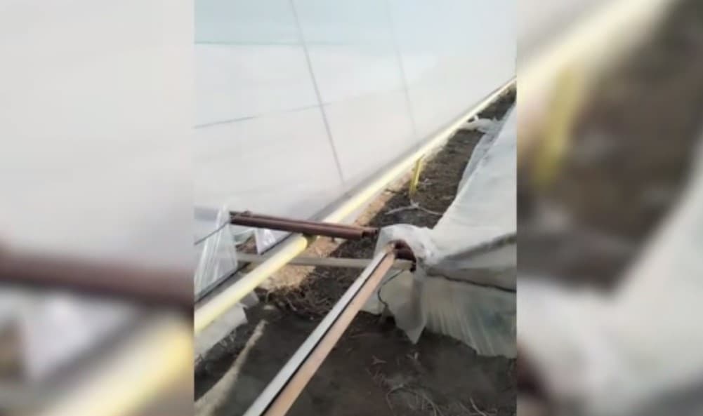 В Бухаре обнаружена теплица, незаконно использовавшая природный газ. Сумма ущерба — около 9 миллиардов сумов